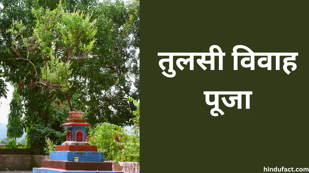 तुलसी विवाह 2024